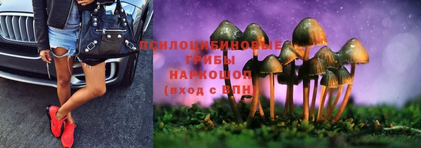 мет Арсеньев