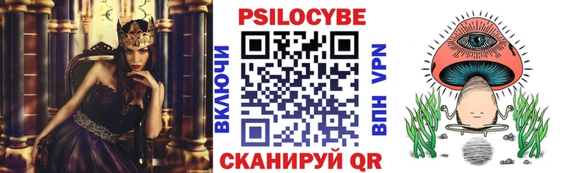 цена   Пучеж  Псилоцибиновые грибы GOLDEN TEACHER 
